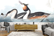Crested Ducks Wall Mural