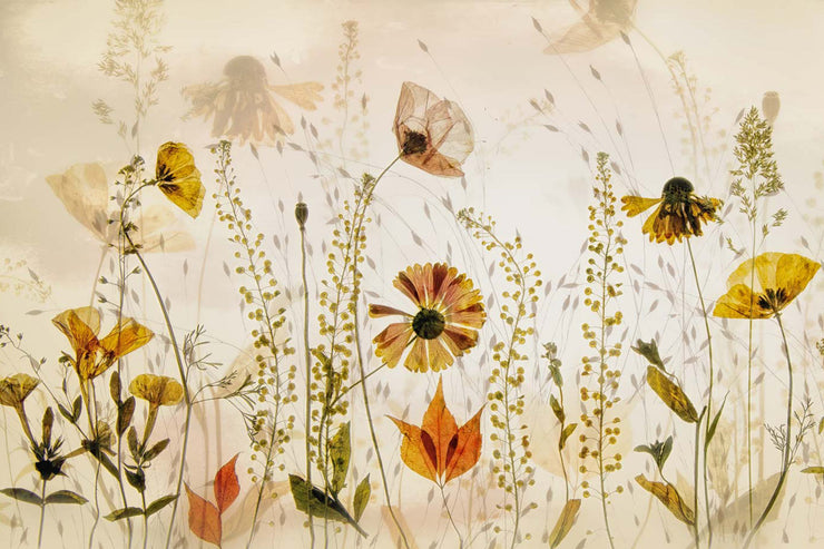 In The Field Wall Mural