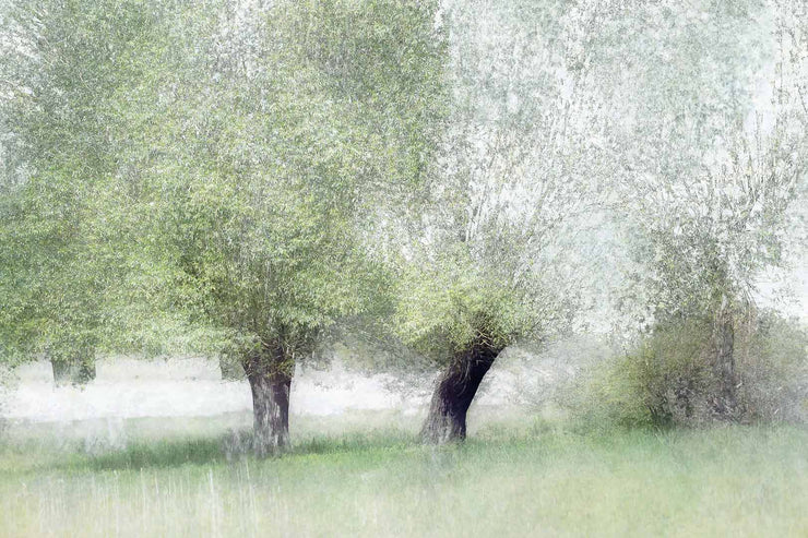 Young Green Wall Mural